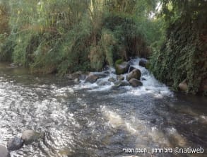 הטנק%20הסורי%20-%20נחל%20חרמון%20,%20נחל%20חרמון